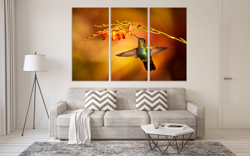 Картина на холсте Модульные Модульная картина Magnificent Hummingbird 3 картины 45х90 см.
Картина на холсте Модульные Модульная картина Magnificent Hummingbird 3 картины 45х90 см.