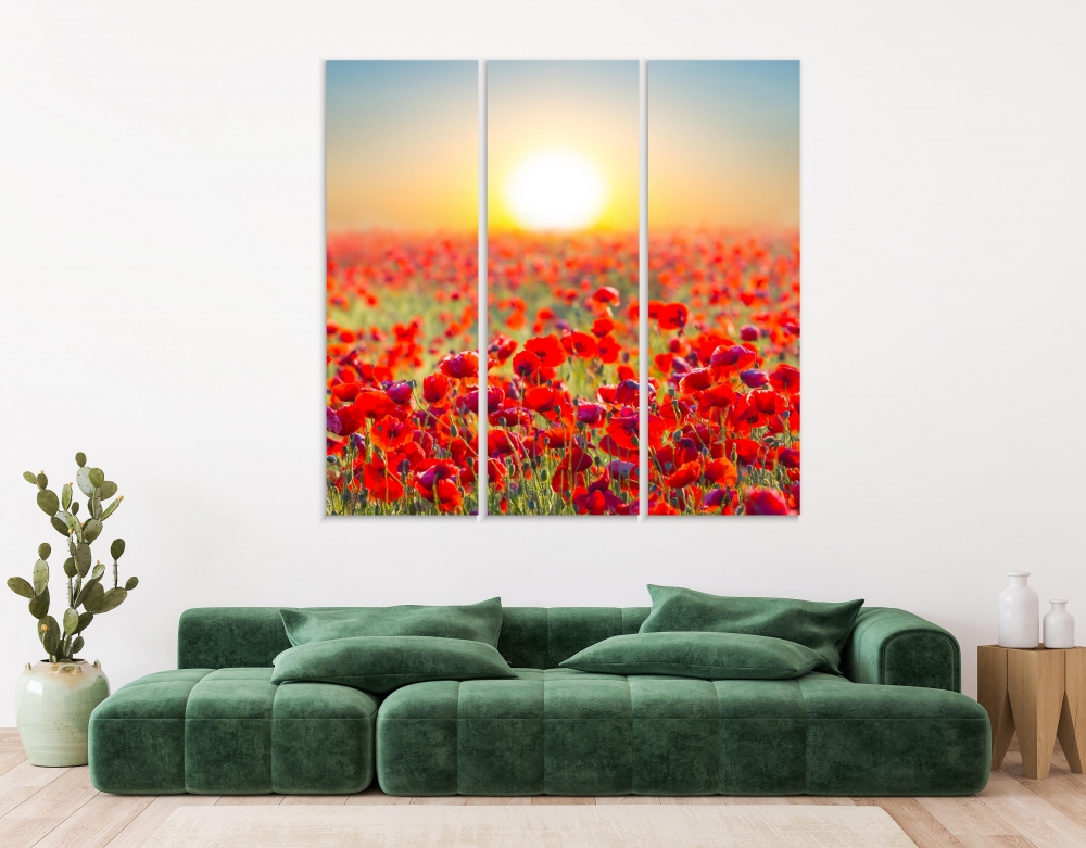 Картина на холсте Модульные Модульная картина Red Poppy Field 3 картины 30х60 см.
Картина на холсте Модульные Модульная картина Red Poppy Field 3 картины 30х60 см.