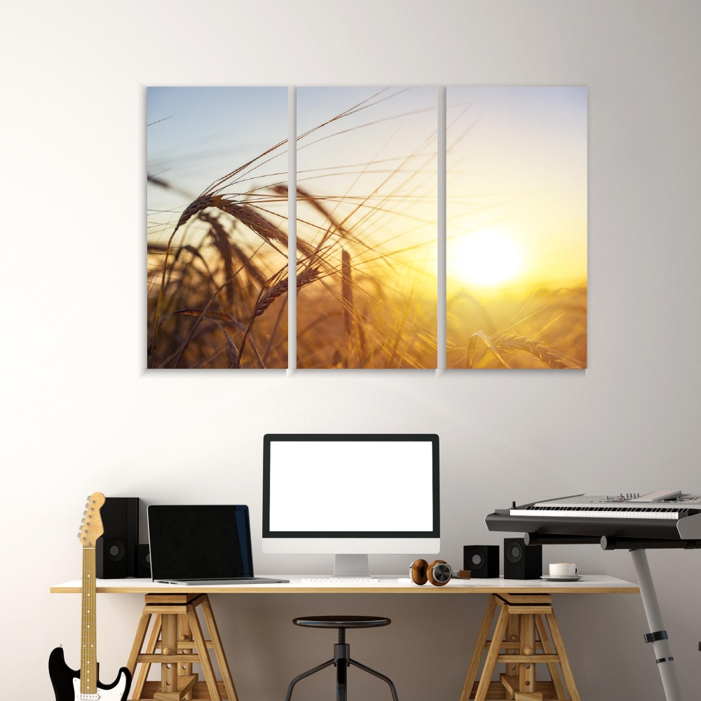 Картина на холсте Модульные Модульная картина Ear Of Golden Wheat 3 картины 70х140 см.
Картина на холсте Модульные Модульная картина Ear Of Golden Wheat 3 картины 70х140 см.