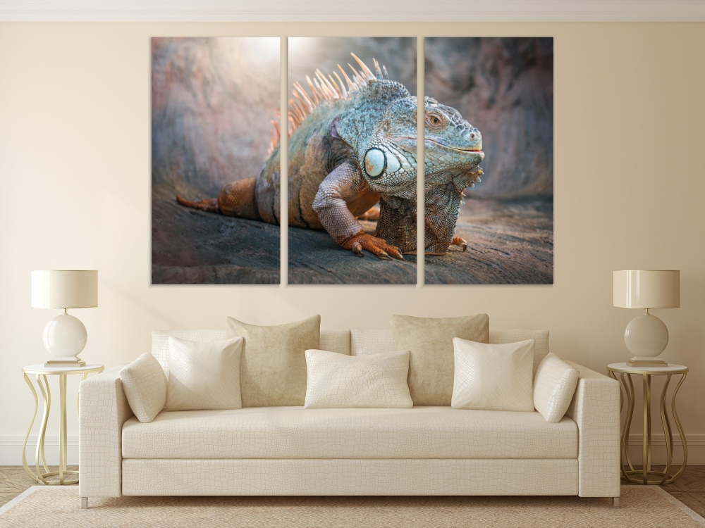 Картина на холсте Модульные Модульная картина Iguana Lizard In A Cave 3 картины 40х80 см.
Картина на холсте Модульные Модульная картина Iguana Lizard In A Cave 3 картины 40х80 см.