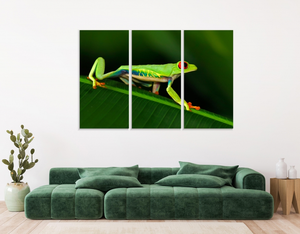 Картина на холсте Модульные Модульная картина Red-Eyed Tree Frog 3 картины 45х90 см.
Картина на холсте Модульные Модульная картина Red-Eyed Tree Frog 3 картины 45х90 см.