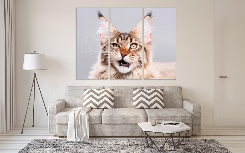 Картина на холсте Модульные Модульная картина Cute Maine Coon Kitten 3 картины 25х50 см.
Картина на холсте Модульные Модульная картина Cute Maine Coon Kitten 3 картины 25х50 см.