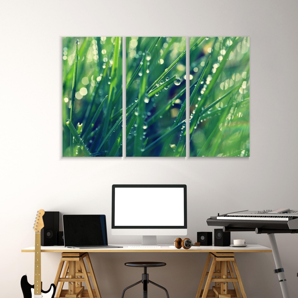 Картина на холсте Модульные Модульная картина Dew On Green Grass 3 картины 25х50 см.
Картина на холсте Модульные Модульная картина Dew On Green Grass 3 картины 25х50 см.