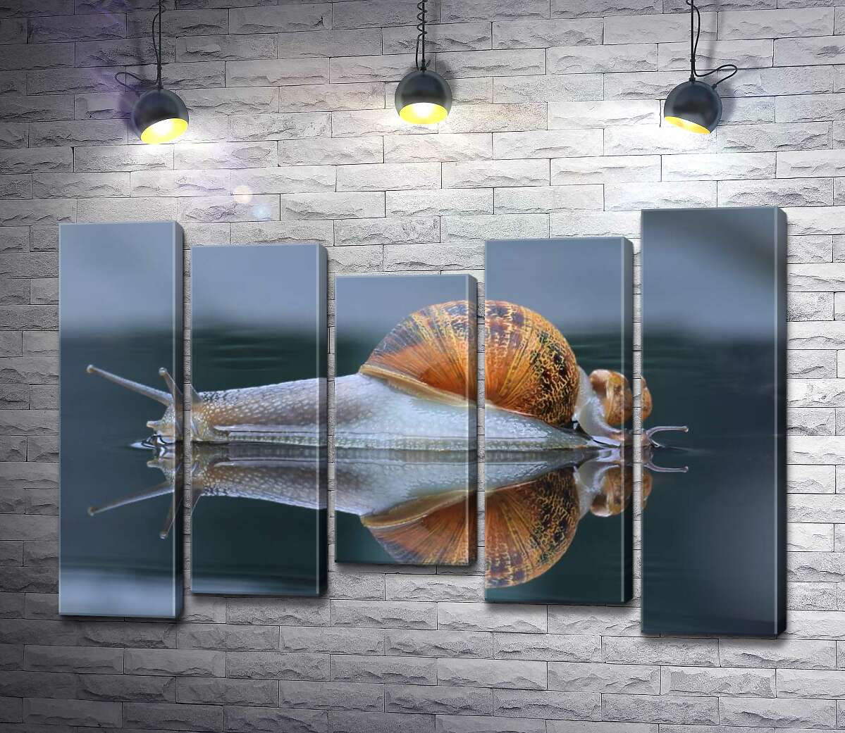 Модульная картина ArtPoster Водянисто-прозрачные улитки после дождя 100x69 см Модуль №28
Модульная картина ArtPoster Водянисто-прозрачные улитки после дождя 100x69 см Модуль №28