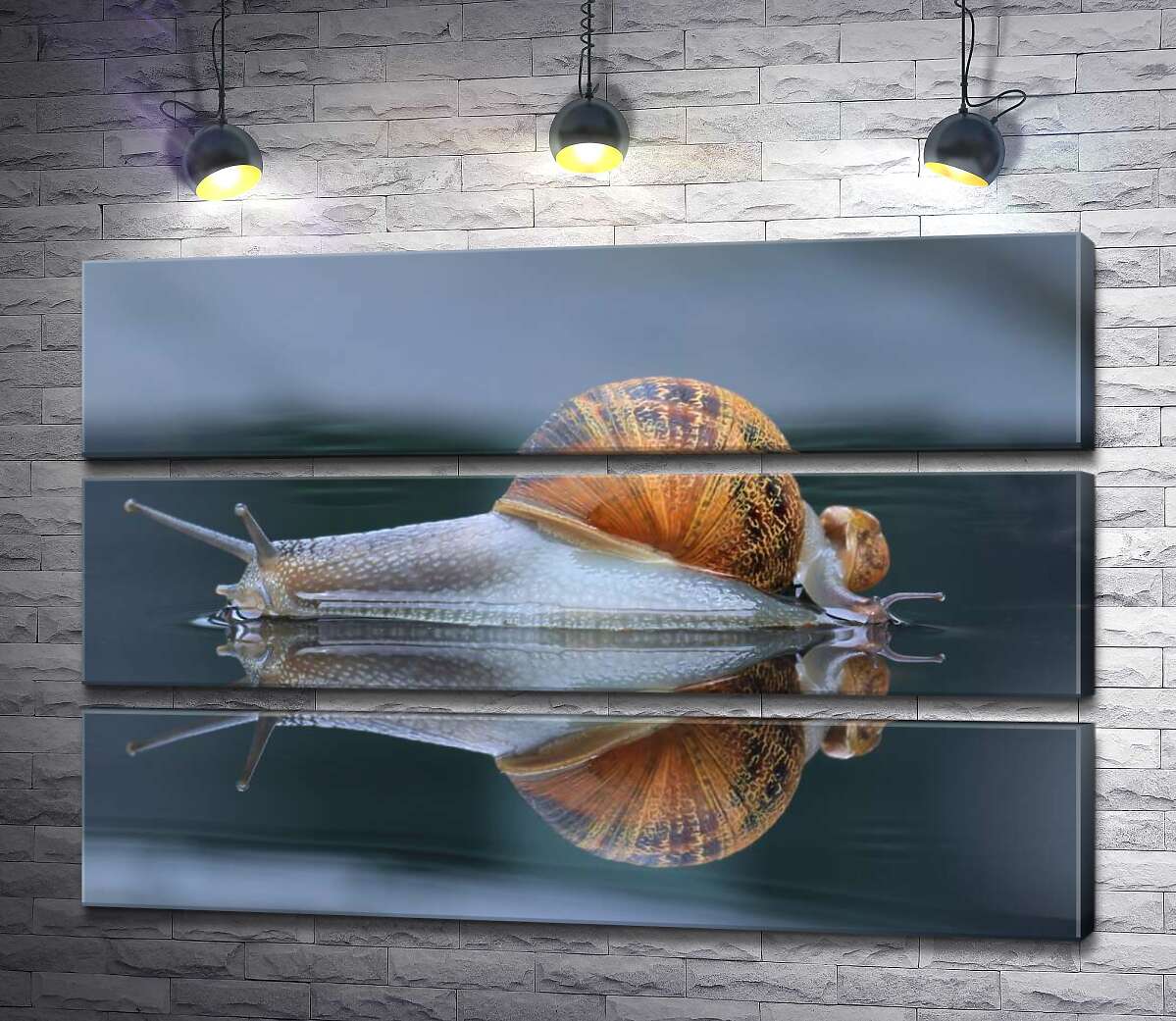 Модульная картина ArtPoster Водянисто-прозрачные улитки после дождя 130x87 см Модуль №13
Модульная картина ArtPoster Водянисто-прозрачные улитки после дождя 130x87 см Модуль №13