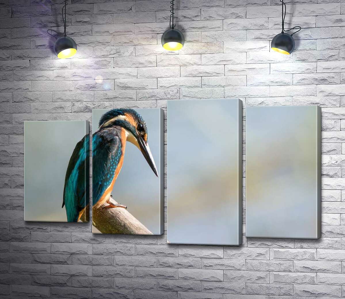 Модульная картина ArtPoster Бирюза перьев переливается на птице зимородке 80x47 см Модуль №21
Модульная картина ArtPoster Бирюза перьев переливается на птице зимородке 80x47 см Модуль №21