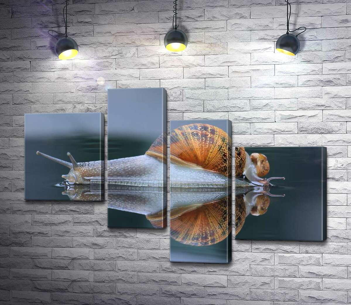 Модульная картина ArtPoster Водянисто-прозрачные улитки после дождя 130x89 см Модуль №20
Модульная картина ArtPoster Водянисто-прозрачные улитки после дождя 130x89 см Модуль №20