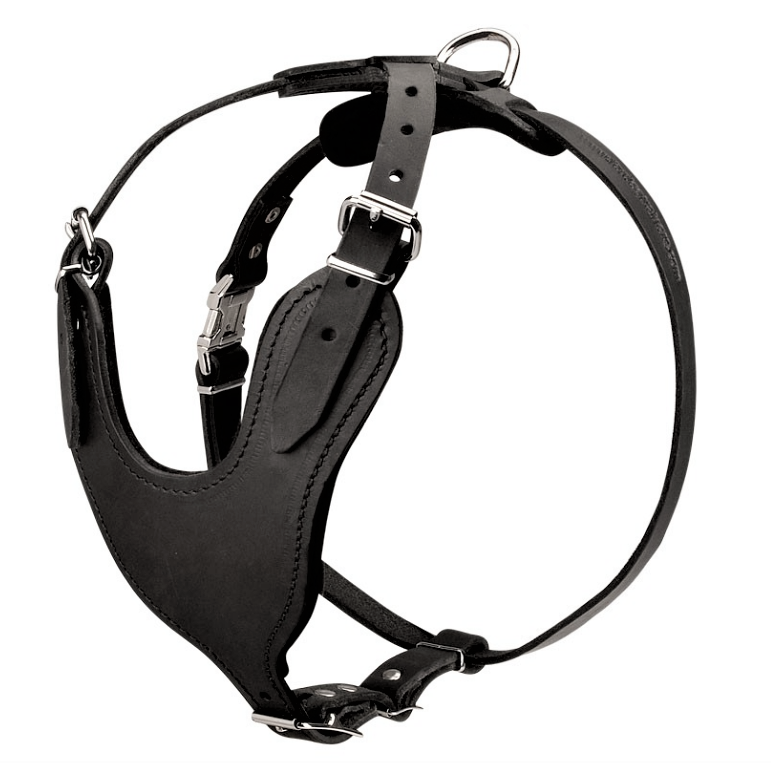 Шлейка из натуральной кожи для собак (ld045) M (30-44 см) Lockdog Черный (2000001391402)
Шлейка из натуральной кожи для собак (ld045) M (30-44 см) Lockdog Черный (2000001391402)