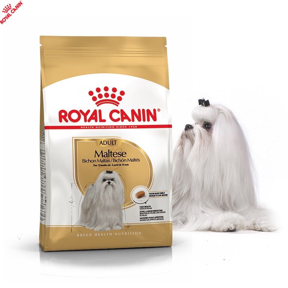 Сухой полнорационный корм Royal Canin Maltese Adult - сухой корм для мальтезе (мальтийская болонка) от 10 мес. 1.5 кг (3995005)
Сухой полнорационный корм Royal Canin Maltese Adult - сухой корм для мальтезе (мальтийская болонка) от 10 мес. 1.5 кг (3995005)