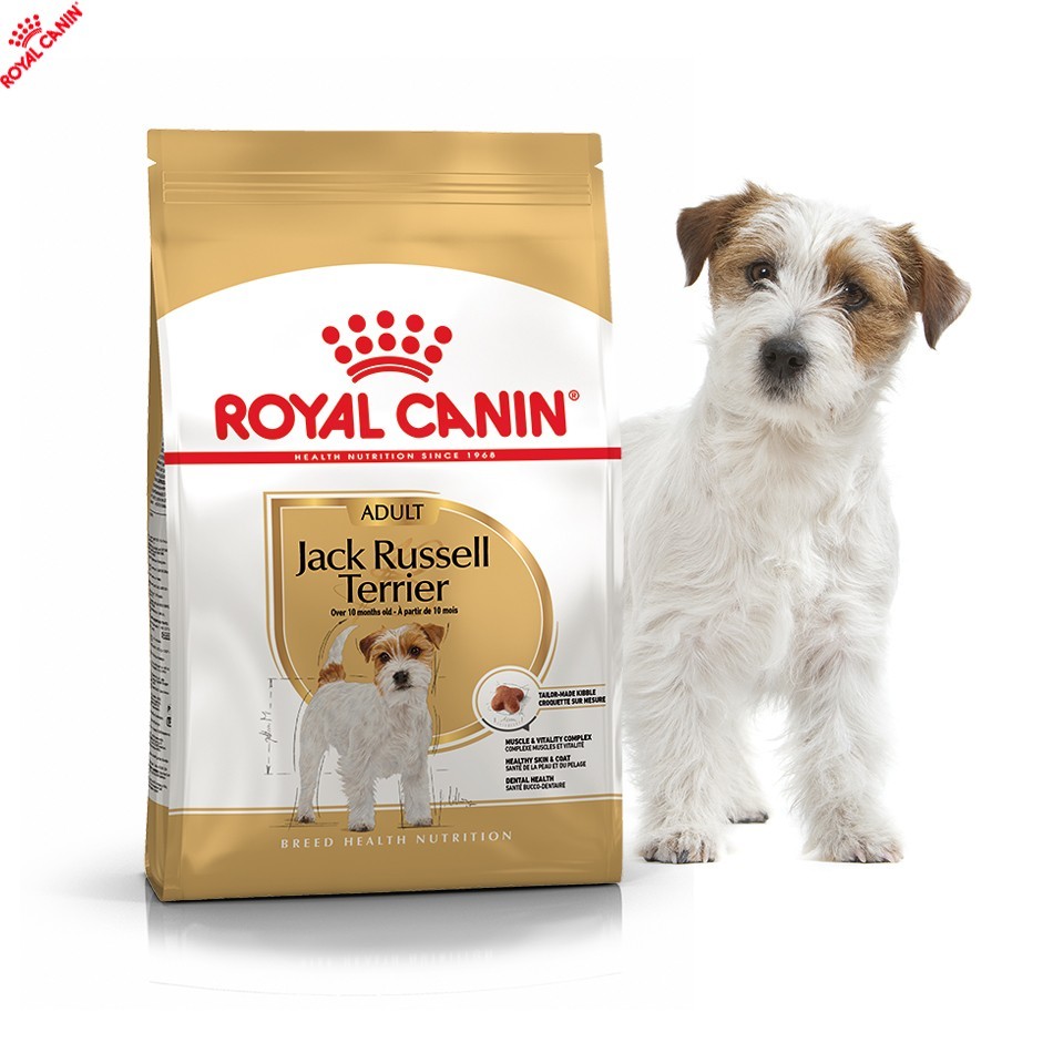 Сухой полнорационный корм Royal Canin Jack Russell Terrier - сухой корм для Джек-рассел-терьеров от 10 мес. 7.5 кг (21000059)
Сухой полнорационный корм Royal Canin Jack Russell Terrier - сухой корм для Джек-рассел-терьеров от 10 мес. 7.5 кг (21000059)