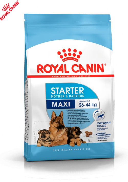 Сухой полнорационный корм Royal Canin Maxi Starter - твердый корм для щенков крупных пород 15 кг (2994010)
Сухой полнорационный корм Royal Canin Maxi Starter - твердый корм для щенков крупных пород 15 кг (2994010)