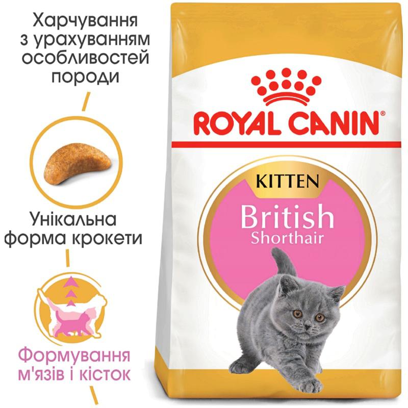 Сухой корм для котят Royal Canin Kitten British Shorthair 10 кг (3182550816540)
Сухой корм для котят Royal Canin Kitten British Shorthair 10 кг (3182550816540)