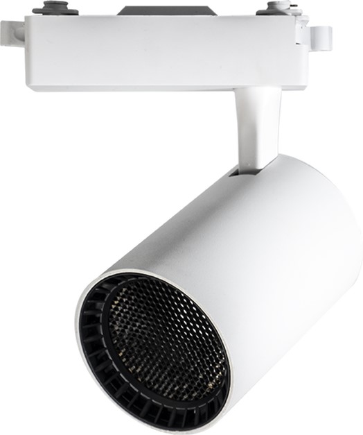 Трековый светильник JazzWay PTR 1335 35 Вт 4000K WH/BL белый IP40 (4895205022133)
Трековый светильник JazzWay PTR 1335 35 Вт 4000K WH/BL белый IP40 (4895205022133)