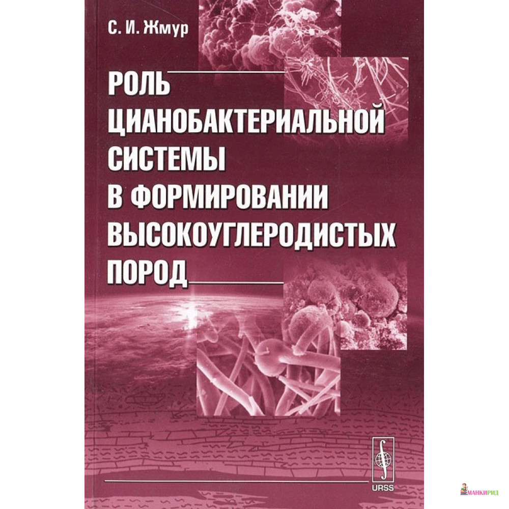 Роль цианобактериальной системы в формировании высокоуглеродистых пород - Станислав Жмур - КомКнига - 779417
Роль цианобактериальной системы в формировании высокоуглеродистых пород - Станислав Жмур - КомКнига - 779417