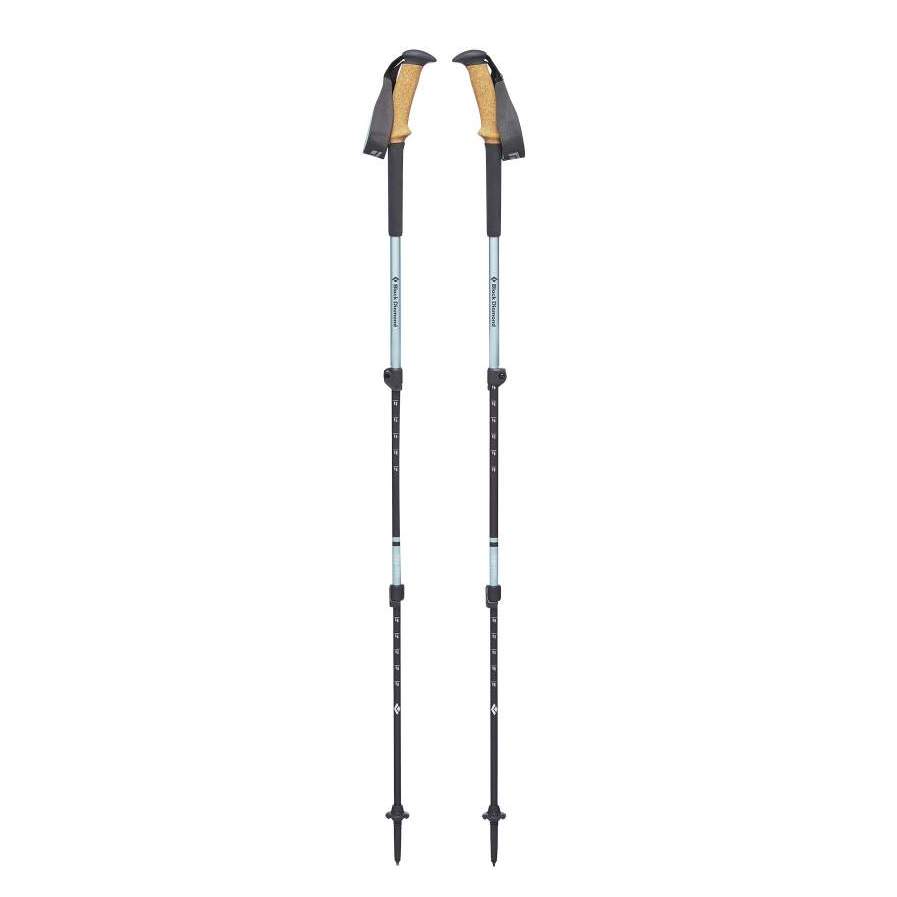 Трекінгові палиці Black Diamond W Trail Ergo Cork 65-125 Silver (BD 112513.3000)
Трекінгові палиці Black Diamond W Trail Ergo Cork 65-125 Silver (BD 112513.3000)