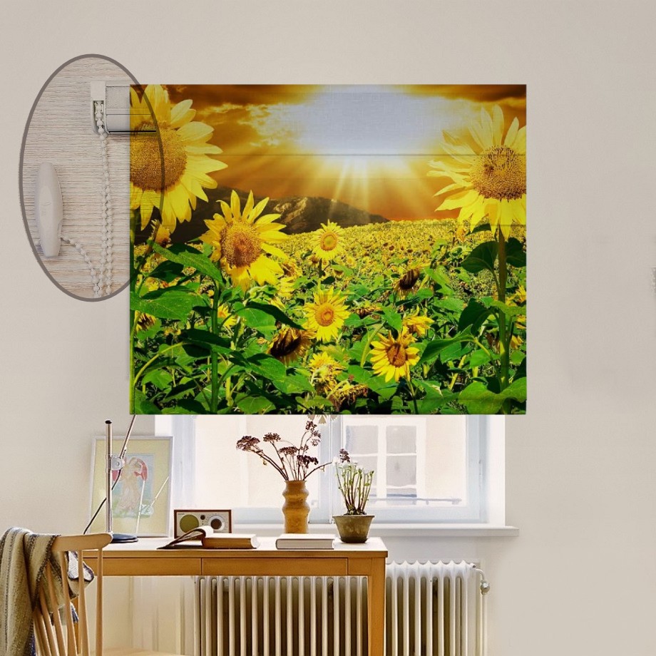 Римская штора система Lux Coullise InHt Фотопечать Цветы 00-140 Блэкаут 90х170 см
Римская штора система Lux Coullise InHt Фотопечать Цветы 00-140 Блэкаут 90х170 см