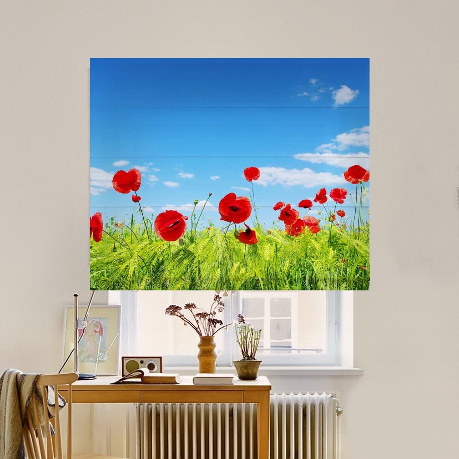 Римская штора система Classic InHt Фотопечать Цветы 00-342 Джуси Велюр 160х170 см
Римская штора система Classic InHt Фотопечать Цветы 00-342 Джуси Велюр 160х170 см