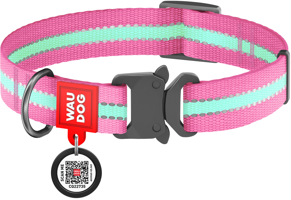 Ошейник для собак нейлоновый Collar WAUDOG Nylon c QR паспортом, светящийся/светоотражающий, металлическая пряжка-фастекс, L, Ш 25 мм, Дл 31-49 см
Ошейник для собак нейлоновый Collar WAUDOG Nylon c QR паспортом, светящийся/светоотражающий, металлическая пряжка-фастекс, L, Ш 25 мм, Дл 31-49 см