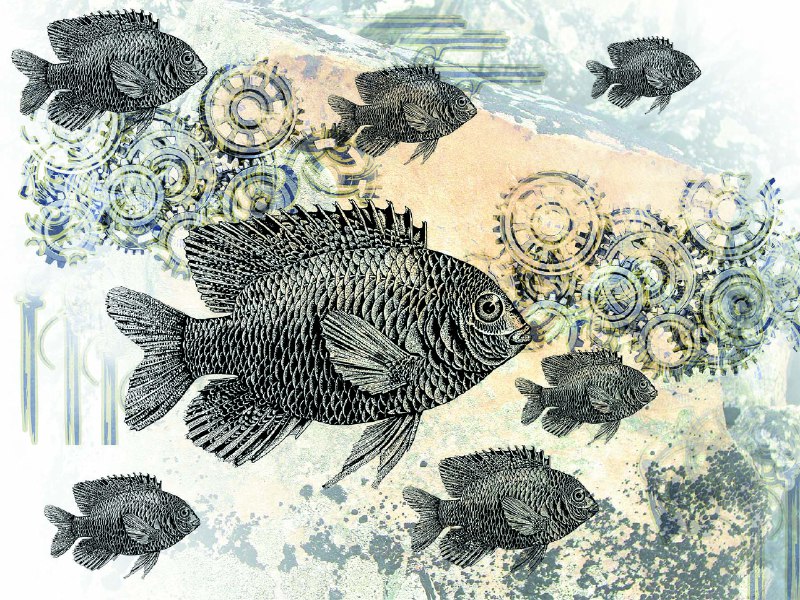 Наклейка Molenart широкоформатная на стены акриловая Рыбки за 1 кв.м
Наклейка Molenart широкоформатная на стены акриловая Рыбки за 1 кв.м