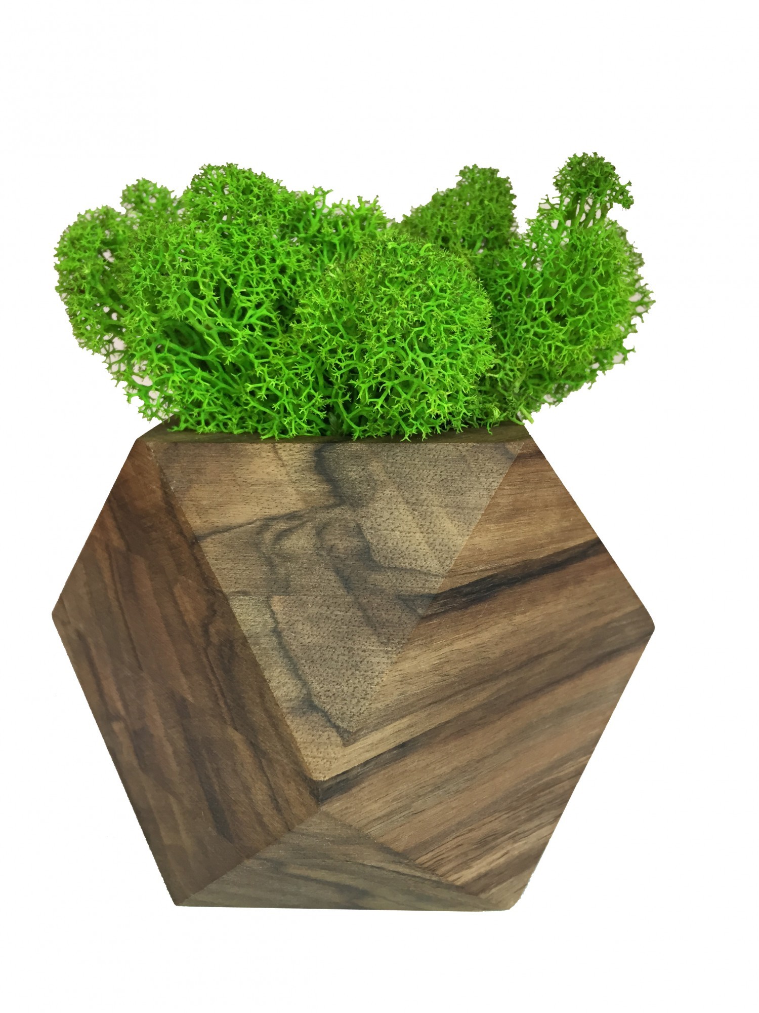 Стабилизированный мох вазон Reindeer Moss b/093/01/700/9 светло-зеленый коричневый
Стабилизированный мох вазон Reindeer Moss b/093/01/700/9 светло-зеленый коричневый