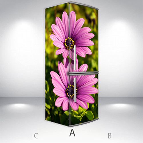 Наклейки на холодильник 3d, Самоклейка, 200 х 65 см, Лицевая+Левая(А) (holSS1_fl102221 Цветы-4)
Наклейки на холодильник 3d, Самоклейка, 200 х 65 см, Лицевая+Левая(А) (holSS1_fl102221 Цветы-4)