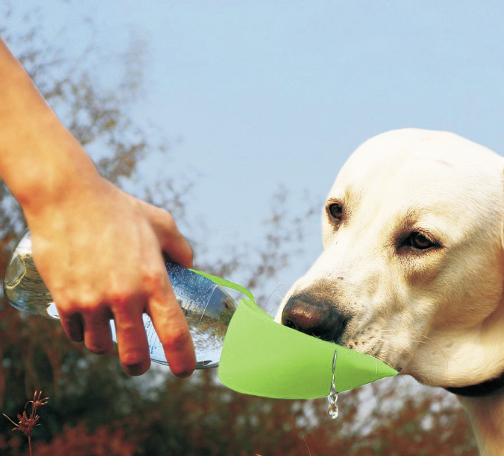 Поилка для собак Pet Drinker переносная дорожная для животных с креплением на ремень
Поилка для собак Pet Drinker переносная дорожная для животных с креплением на ремень