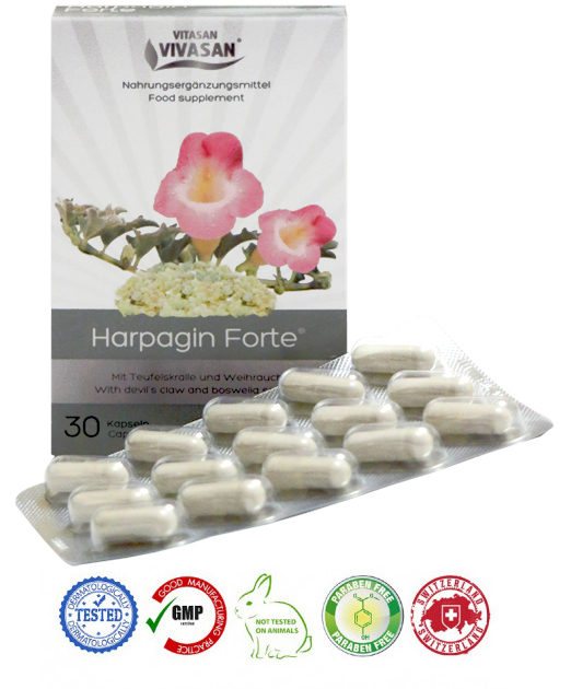 Натуральные швейцарские мультивитамины Харпагин Форте/Harpagin Forte Фитопрепарат VIVASAN Original 30 таблеток GMP Certified
Натуральные швейцарские мультивитамины Харпагин Форте/Harpagin Forte Фитопрепарат VIVASAN Original 30 таблеток GMP Certified