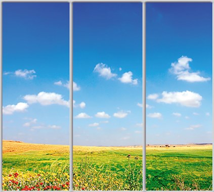 Шкаф купе Luxe Studio Стандарт-1 Фотопечать Природа-121 2100x2100x600 трехдверный
Шкаф купе Luxe Studio Стандарт-1 Фотопечать Природа-121 2100x2100x600 трехдверный