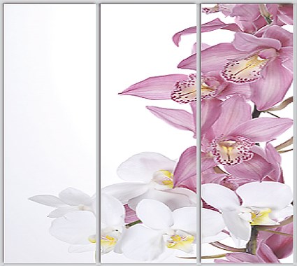 Шкаф купе Luxe Studio Стандарт-1 Фотопечать Природа-186 2100x2300x600 трехдверный
Шкаф купе Luxe Studio Стандарт-1 Фотопечать Природа-186 2100x2300x600 трехдверный