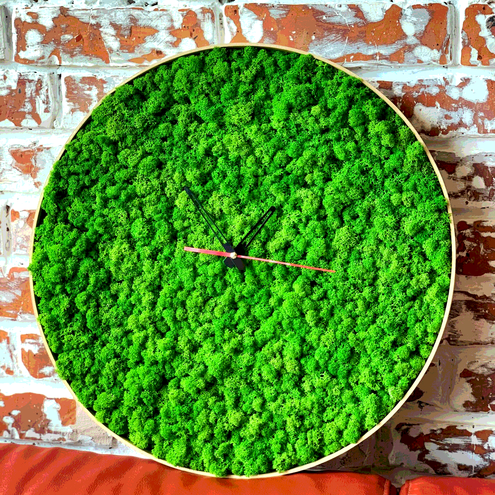 Часы настенные со стабилизированным мхом Woodhouse Clock Sequoia декор для дома офиса 45 см
Часы настенные со стабилизированным мхом Woodhouse Clock Sequoia декор для дома офиса 45 см