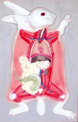 Модель Внутреннее строение кролика White
Модель Внутреннее строение кролика White