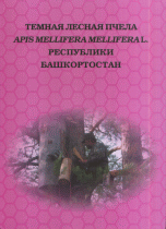 Темная лесная пчела Apis meliifera metlifera L. Республики Башкортостан (14086314)
Темная лесная пчела Apis meliifera metlifera L. Республики Башкортостан (14086314)