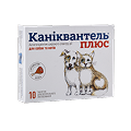 Котам