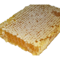 Соты