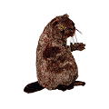 Мʼякі іграшки