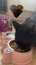 Вологий корм для котів Whiskas з лососем у соусі, 85 г, 28 шт фото от покупателей 2