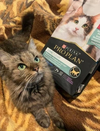 Сухий повнораціонний корм для стерилізованих котів старше 7 років Purina Pro Plan LiveClear для зменшення алергенів на шерсті з індичкою 1.4 кг фото від покупців 17
