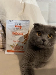 Сухой беззерновой корм Brit Care Cat Grain-Free Adult INDOOR Anti-Sress Fresh Chicken для взрослых домашних котов с курицей 2 кг фото от покупателей 2