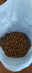 Сухий корм для котят Pro Plan Original Kitten Chicken 1,5 кг (курка) фото від покупців 2