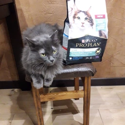 Сухий повнораціонний корм для стерилізованих котів старше 7 років Purina Pro Plan LiveClear для зменшення алергенів на шерсті з індичкою 1.4 кг фото від покупців 16