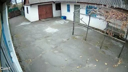 Вулична WIFI камера відеоспостереження Hiseeu WHD813 4MP поворотна PTZ Onvif фото від покупців 14