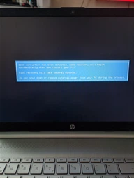 Ноутбук HP Laptop 15s-eq1003ua (1U9R9EA) Natural Silver фото от покупателей 2