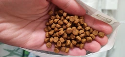 Сухий корм для котят Pro Plan Original Kitten Chicken 1,5 кг (курка) фото від покупців 1