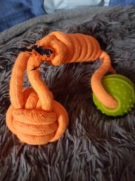 Интерактивная игрушка AnimAll GrizZzly канат с мячиком 41х7х7 см Orange/yellow (6914068019864) фото от покупателей 1