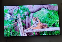 Телевизор Haier DH1SX3D00RU фото от покупателей 7