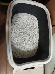 Наповнювач Catsan Hygiene plus гігієнічний для котів, Мінеральний поглинаючий 3уп*10л фото від покупців 13