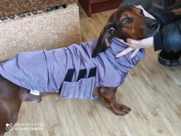 Пуховик Noble Pet Bobby Navy M (B4118/M)