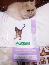 Сухий корм для котів із чутливим травленням Nature's Protection Sensitive Digestion з індичкою качкою та куркою 2 кг (4771317457677)
