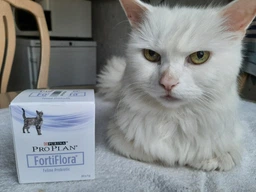 Кормова добавка з пробіотиком для котів і кошенят Pro Plan Veterinary Diets FortiFlora Feline 7х1 г (8445290041173) фото від покупців 12