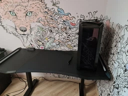Комп'ютерний стіл Cougar Mars Pro 150 фото від покупців 5